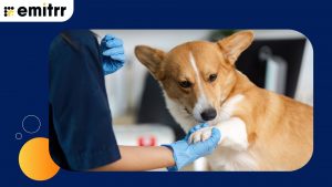 Veterinary Clinics
